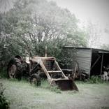 Vintage Tractor by Cathal McCloy