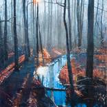 Trees Dec 13, 10:22 AM by todd doney