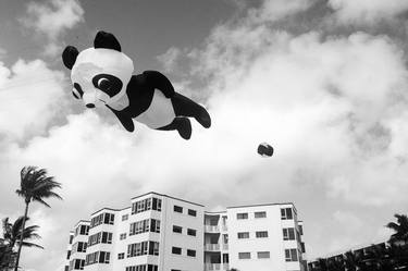 Flying Panda thumb