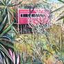 Hyeres- Peninsula-Giens-The landscape and jungle in southfrance where i spent a lot of time searching and exploring the mediterranean nature. Please save the urban nature - avoid the plasticinvasion .

oil painting on canvas , ready to hang.