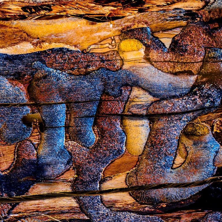 Original Abstract Expressionism Abstract Photography by Cr Shelare