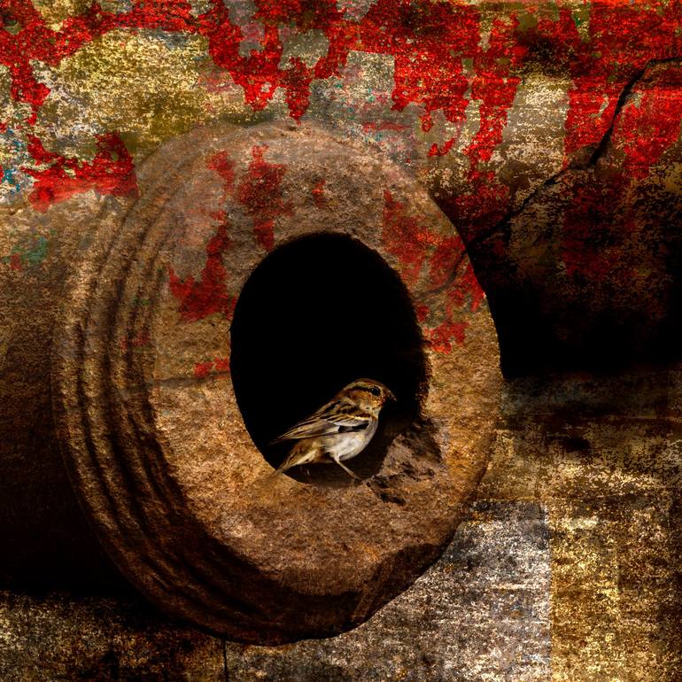Print of Abstract Expressionism Abstract Photography by Cr Shelare