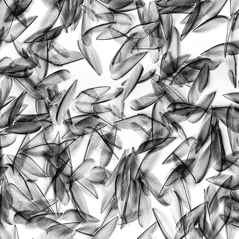 Original Abstract Expressionism Abstract Photography by Cr Shelare
