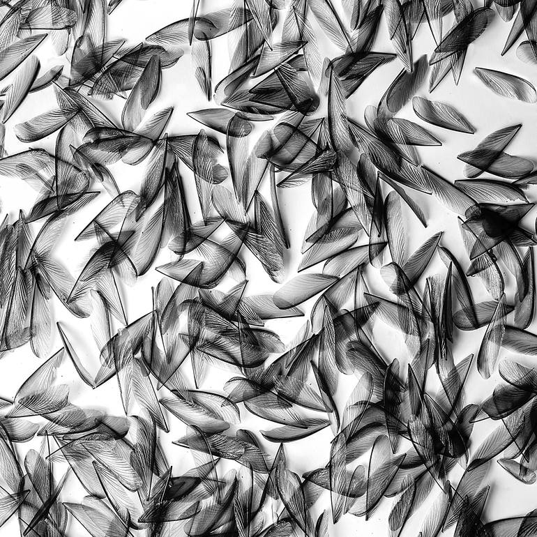Original Abstract Expressionism Abstract Photography by Cr Shelare
