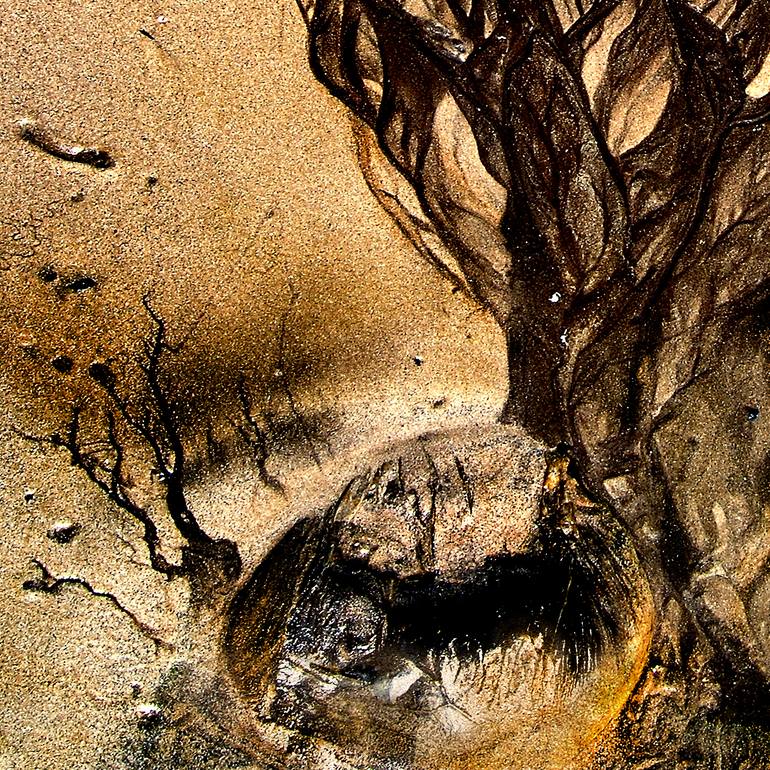 Original Abstract Expressionism Abstract Photography by Cr Shelare