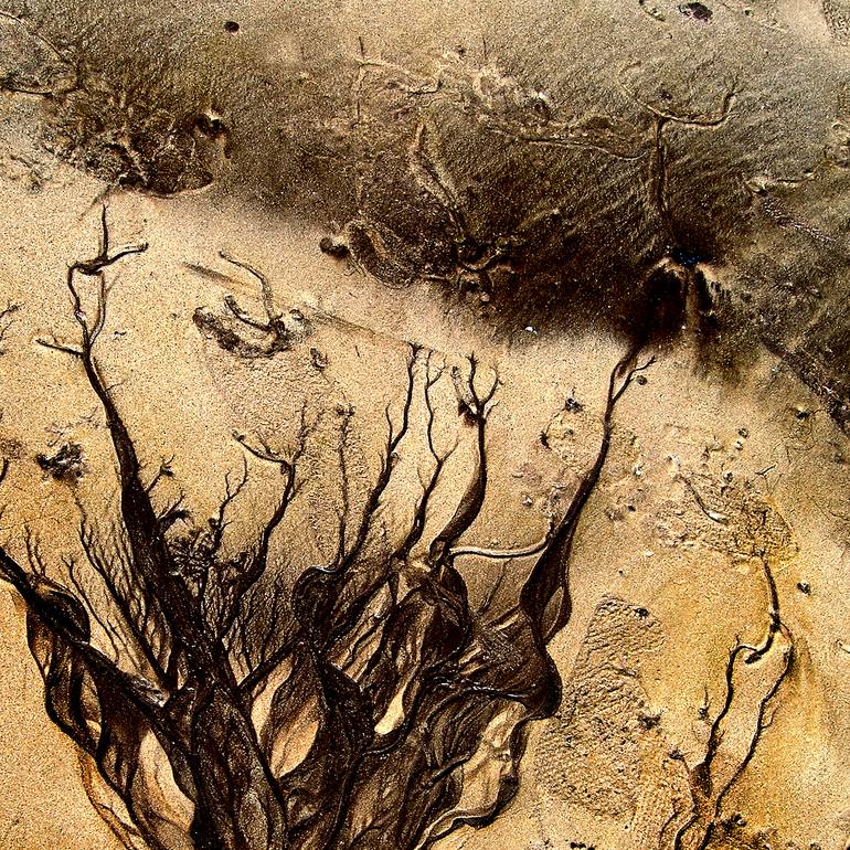 Original Abstract Expressionism Abstract Photography by Cr Shelare