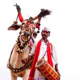 Nandiwala by CR Shelare