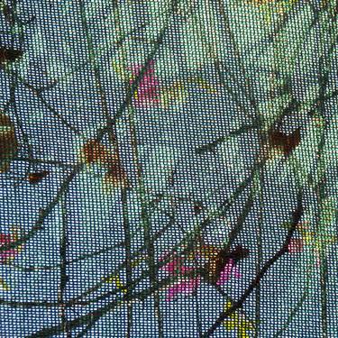 Netting Nature 14 - Limited Edition 1 of 15 thumb