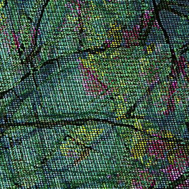 Netting Nature 36 - Limited Edition 1 of 15 thumb