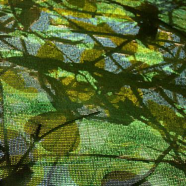 Netting Nature 44 - Limited Edition 1 of 15 thumb