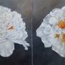 Horizontal view of two peonies