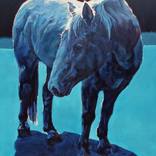 Moonlit Malaki by Patricia A Griffin