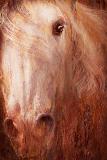 Print of Expressionism Horse Photography by Melinda Hughes-Berland
