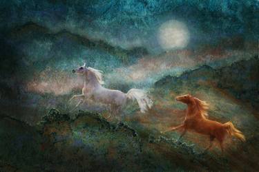 Original Illustration Horse Photography by Melinda Hughes-Berland