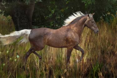 Original Expressionism Horse Photography by Melinda Hughes-Berland