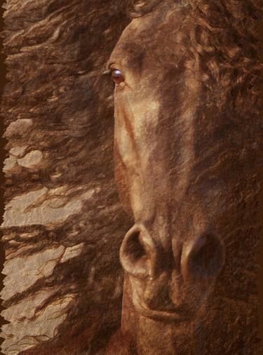 Original Horse Photography by Melinda Hughes-Berland