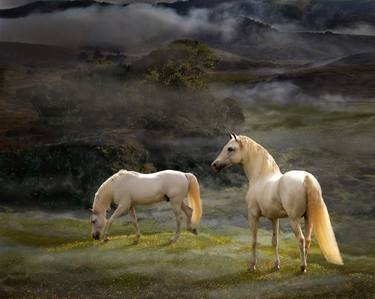 Original Fine Art Horse Photography by Melinda Hughes-Berland