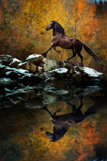 Print of Fine Art Horse Photography by Melinda Hughes-Berland