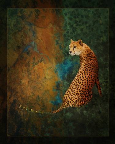 Print of Cats Photography by Melinda Hughes-Berland