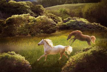 Original Fine Art Horse Photography by Melinda Hughes-Berland