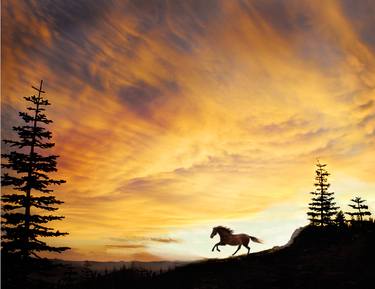 Print of Horse Photography by Melinda Hughes-Berland