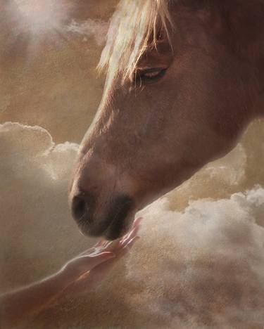 Original Horse Photography by Melinda Hughes-Berland