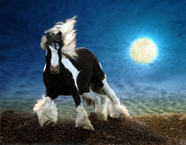 Original Fine Art Horse Photography by Melinda Hughes-Berland