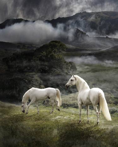 Print of Fine Art Horse Photography by Melinda Hughes-Berland