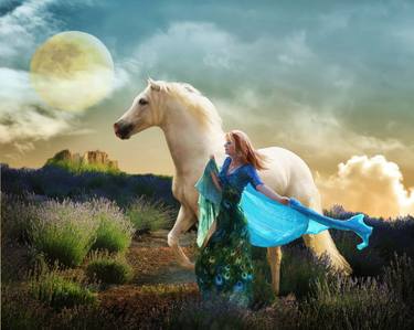 Original Horse Photography by Melinda Hughes-Berland