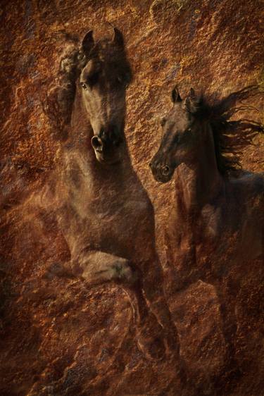 Print of Modern Horse Photography by Melinda Hughes-Berland