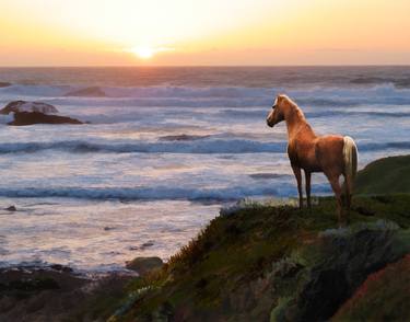 A Palomino Sunset - Limited Edition of 20 thumb