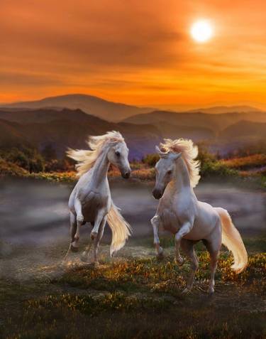 Original Fine Art Horse Photography by Melinda Hughes-Berland
