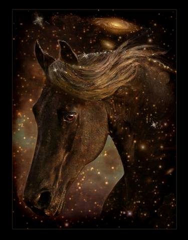 Print of Horse Photography by Melinda Hughes-Berland