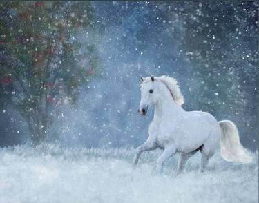 Winter Stallion - Limited Edition of 10 thumb