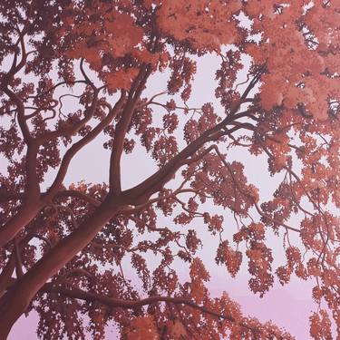 Original Contemporary Botanic Painting by Robin Ballard