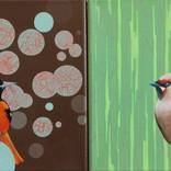 Oriole and Waxwing by Robin Ballard