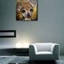 Title: Chihuahua
Medium: Acrylic on canvas
Size: 60cm x 60 cm
