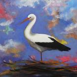 stork by Maryna Lavrenyuk