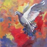 dove by Maryna Lavrenyuk