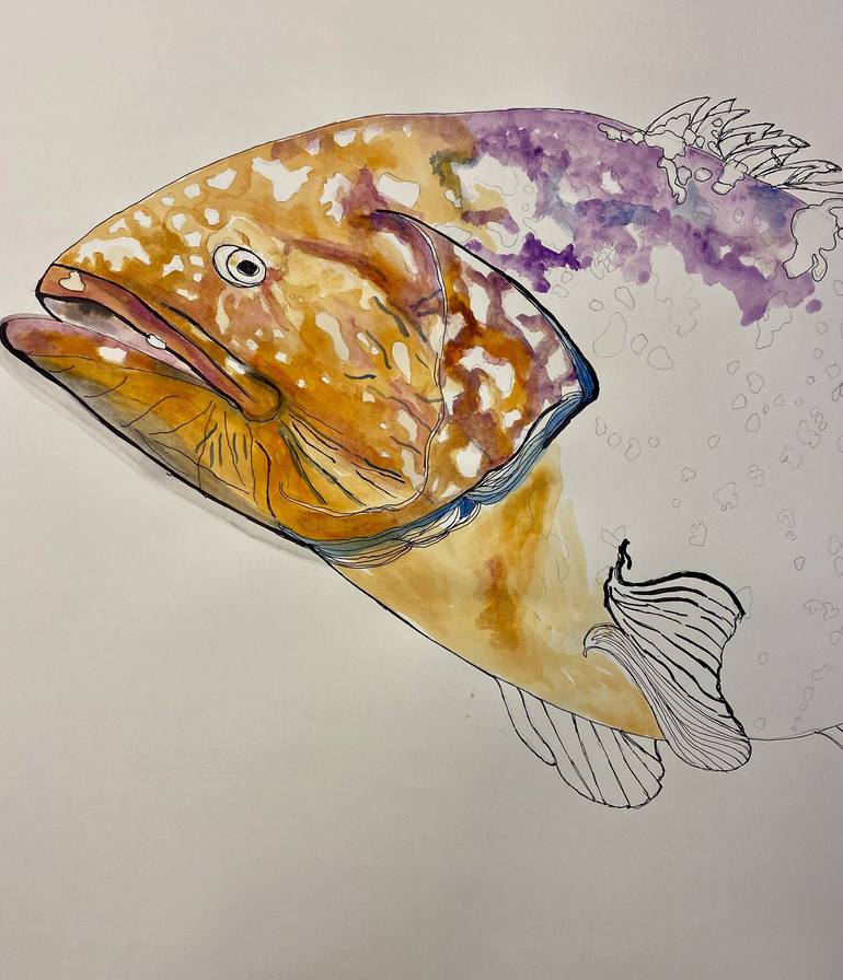 Original Illustration Fish Drawing by Elisa Ochoa