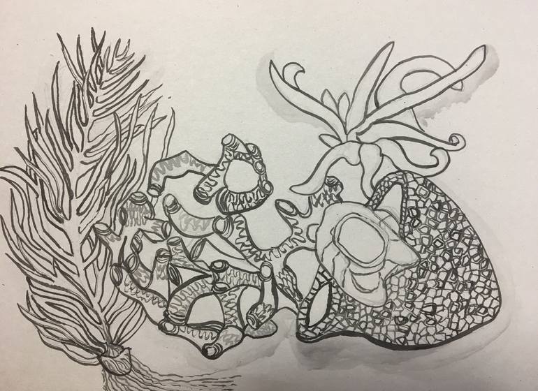 Original Seascape Drawing by Elisa Ochoa