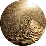 Collection Into the Woods V1