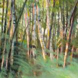 Collection Romantic Places & Portraits