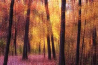 Original Impressionism Abstract Photography by Angela KingJones