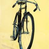 Bernard's Raleigh Popular by Taliah Lempert