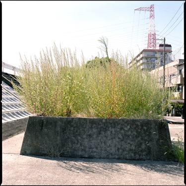 Print of Conceptual Landscape Photography by Morihiro Tsubokura 坪倉 守広