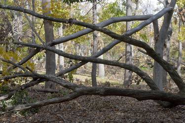 Print of Conceptual Landscape Photography by Morihiro Tsubokura 坪倉 守広