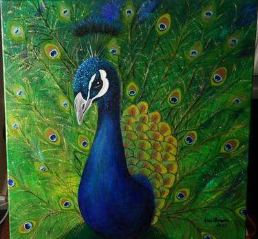 Peacock Beauty thumb