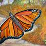 Butterfly Detail