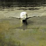 The Self (Puppet). by Ivana Dostal